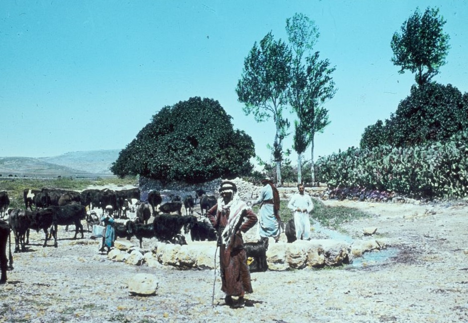 上图：从北面看约瑟坑（Joseph's pit or Joseph's well）。